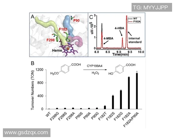 DOTA2战术深度解析：BLG战队的独特策略与团队配合探讨