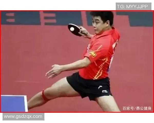 杭州羽毛球队反击之路的得失与启示分析